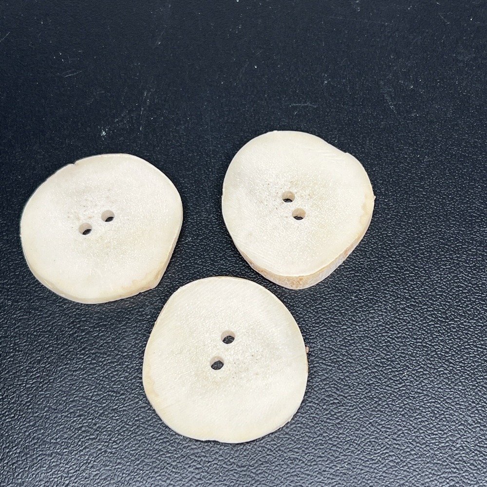 Antler Button Whitetail Large Buttons Elk Antler Buttons Craft Taxidermy Lot 3